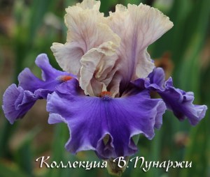 feast of spring